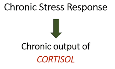 Adrenal Dysfunction - Signs and Symptoms, Part 1